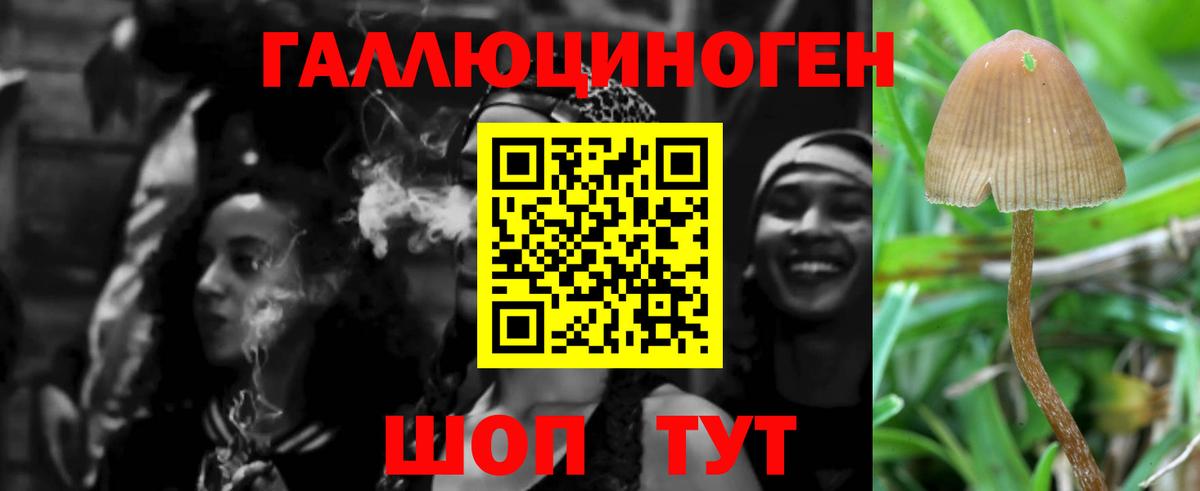 Родники  Галлюциногенные грибы GOLDEN TEACHER  Вход с VPN 